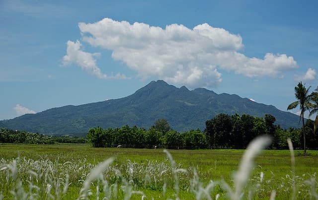 Mt. Makiling hiking landscape