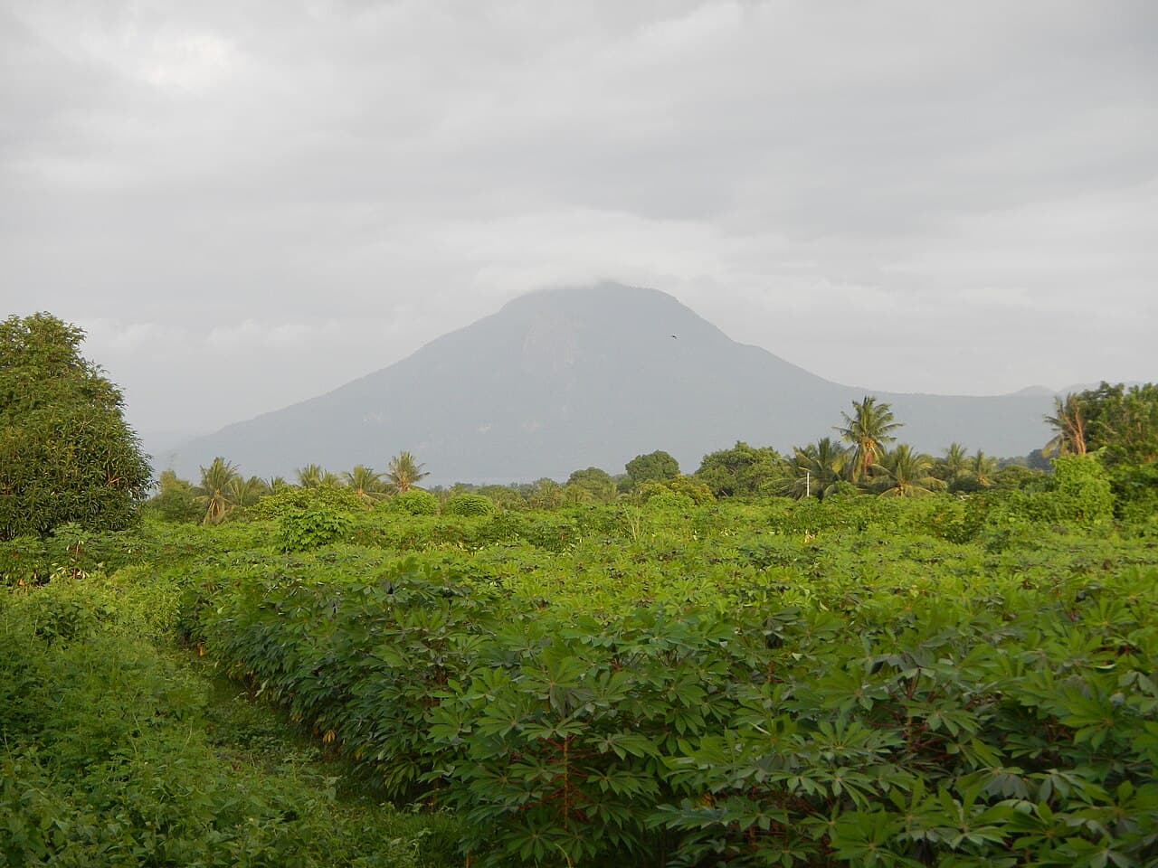 Mt. Maculot hiking landscape