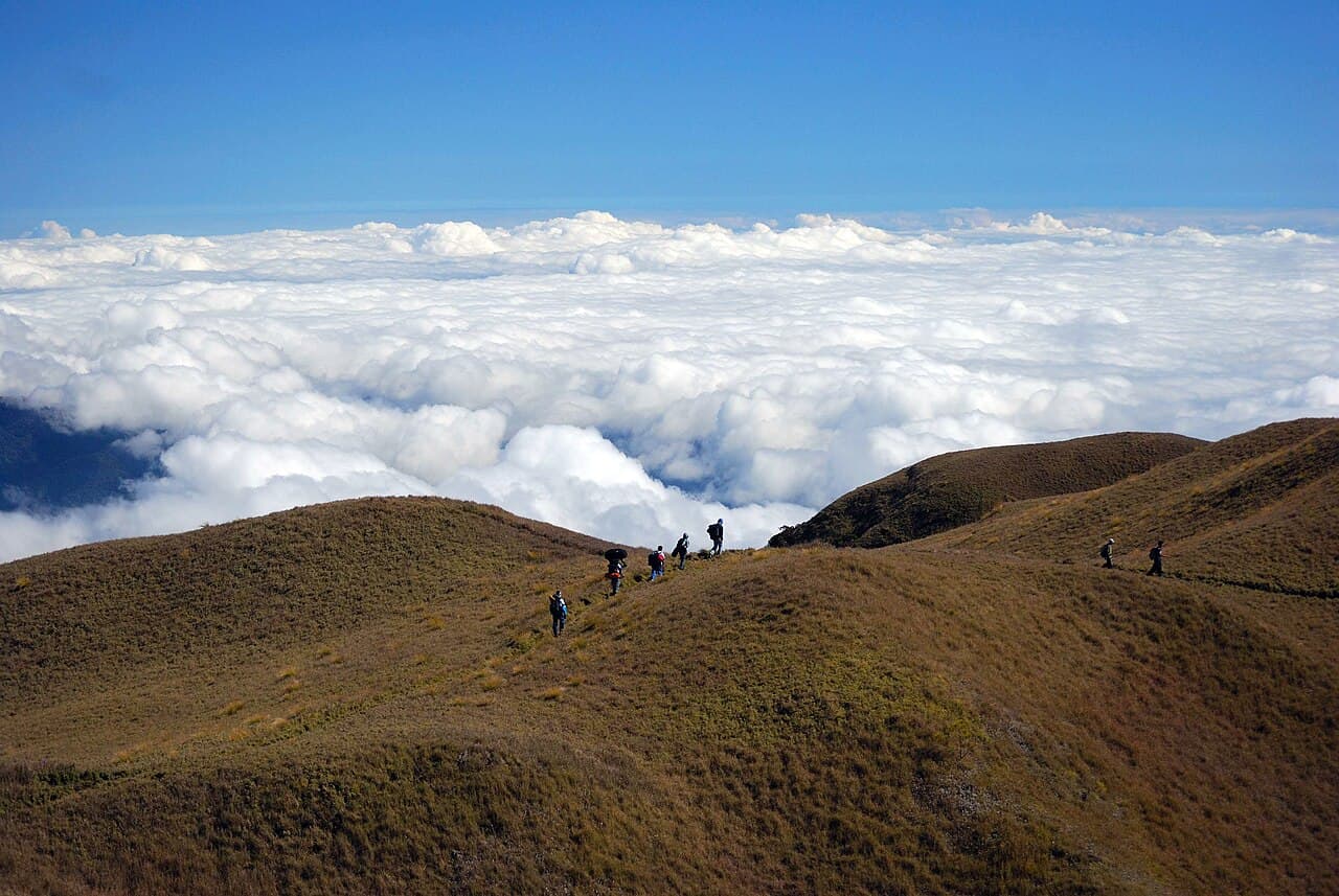 Mt. Pulag hiking landscape