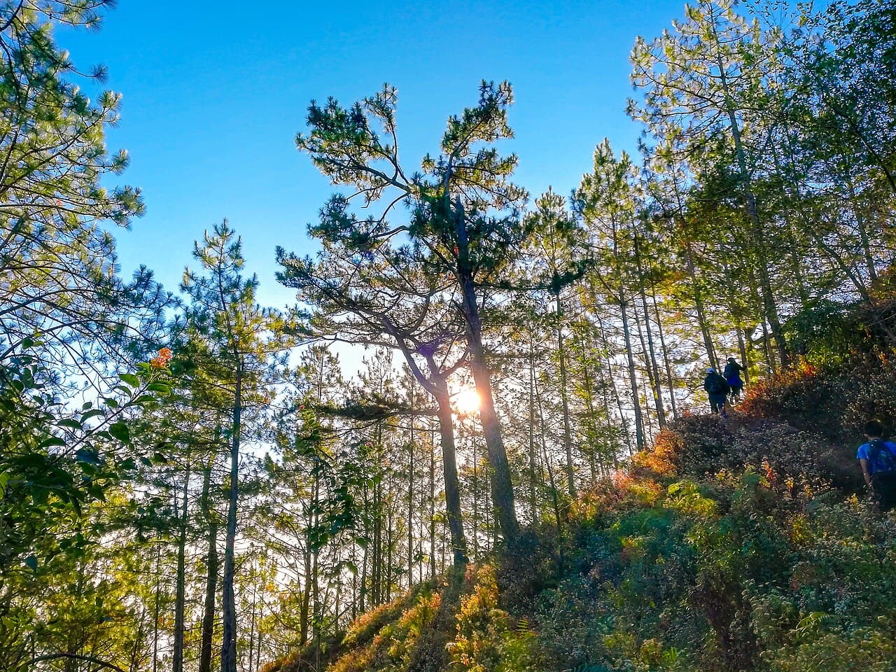 Mt. Ulap hiking landscape