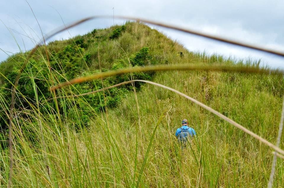 Mt. Ayaas